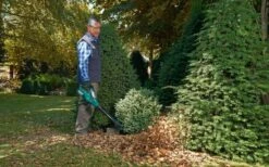 Bosch ALB 36 LI - Bladblazer - Met 36 V Accu En Lader 15 Bosch ALB 36 LI - Bladblazer - Met 36 V Accu En Lader -Tuin Schoonmaak 1200x747